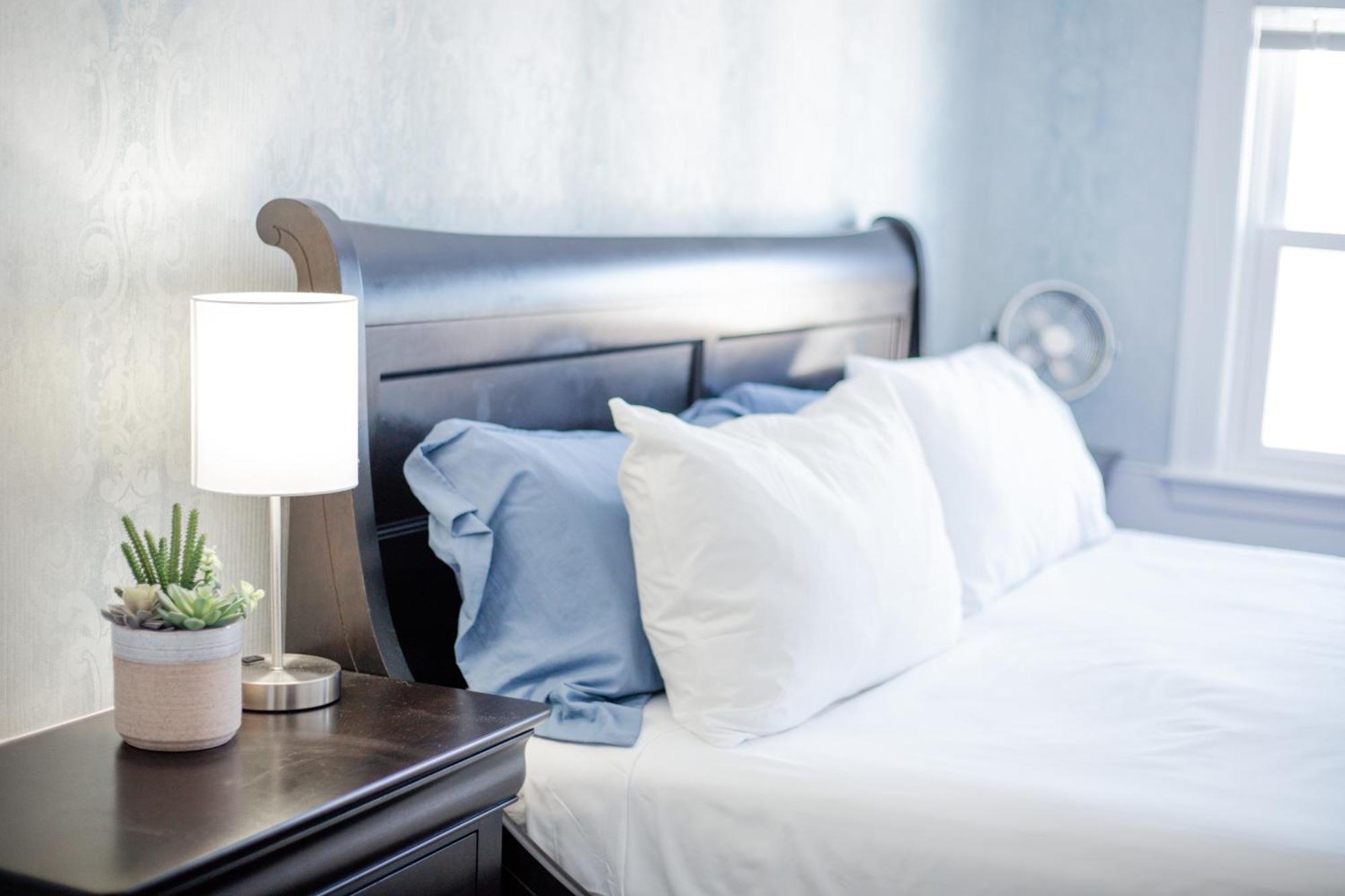 Blue Bear Inn Francestown Εξωτερικό φωτογραφία